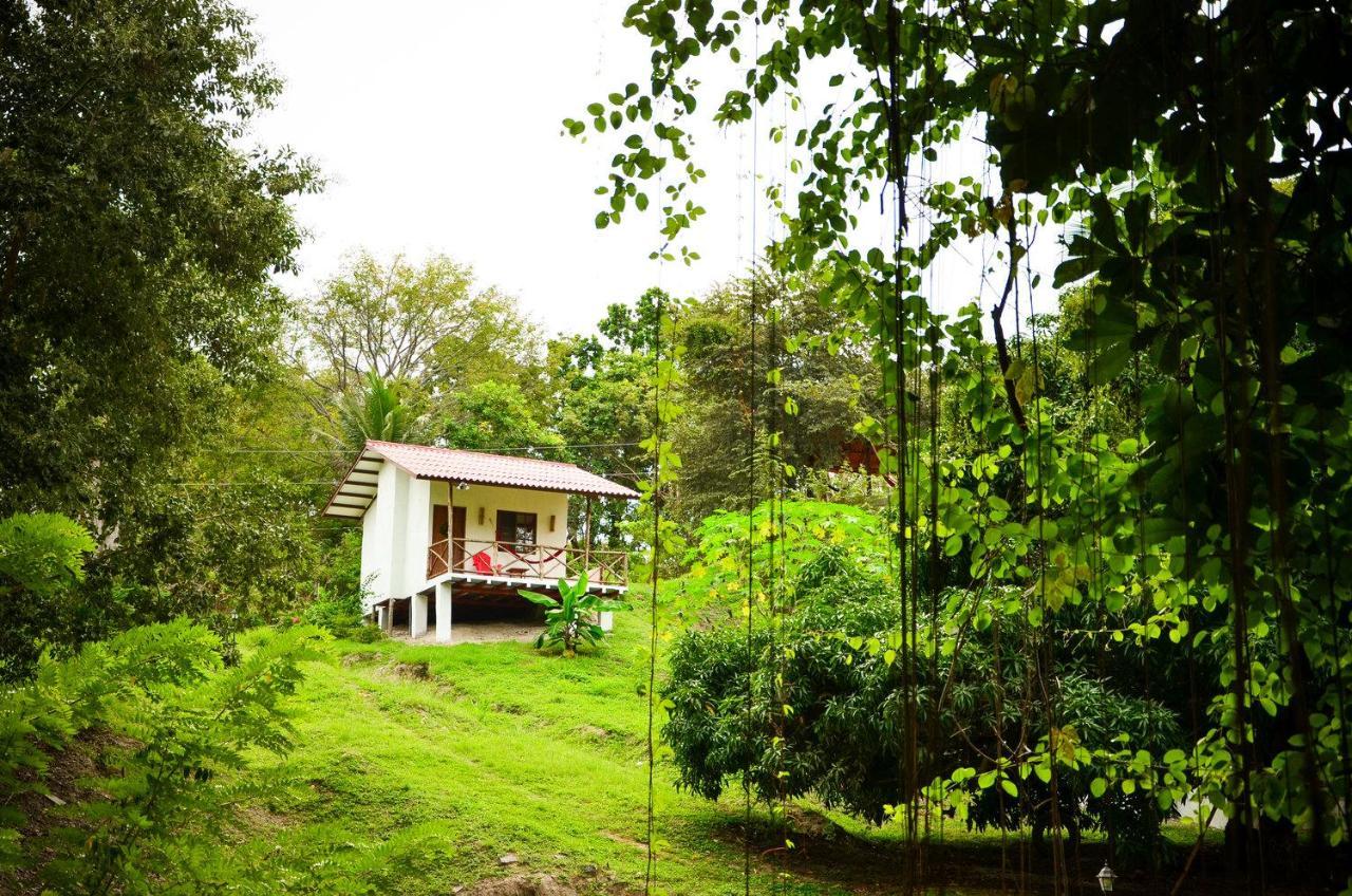 Istmo Beach And Jungle Bungalows San Carlos Exterior photo