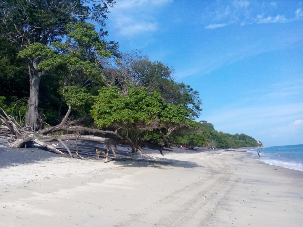 Istmo Beach And Jungle Bungalows San Carlos Exterior photo